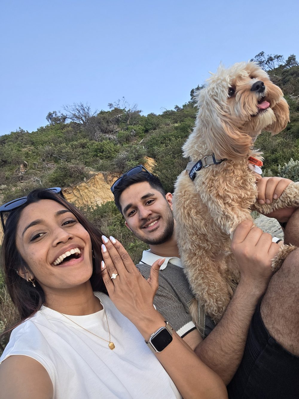 The proposal, showing off the ring